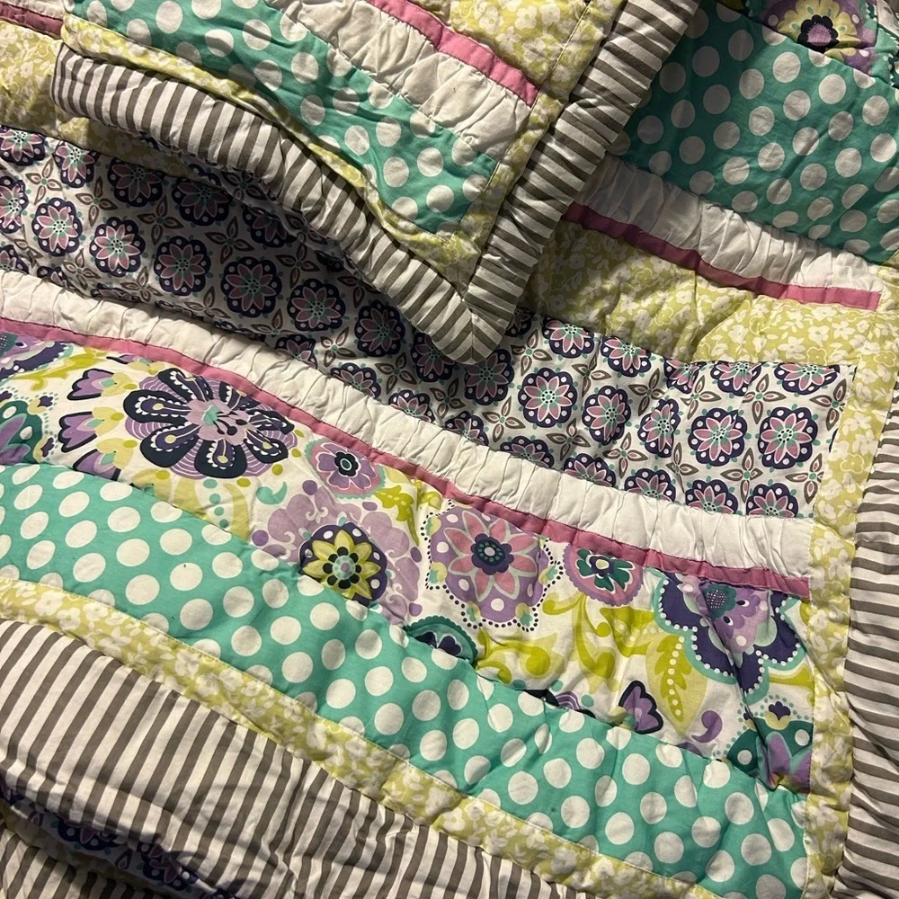 Pottery Barn Teen Girl Floral Twin Comforter W/ Pillow Sham
